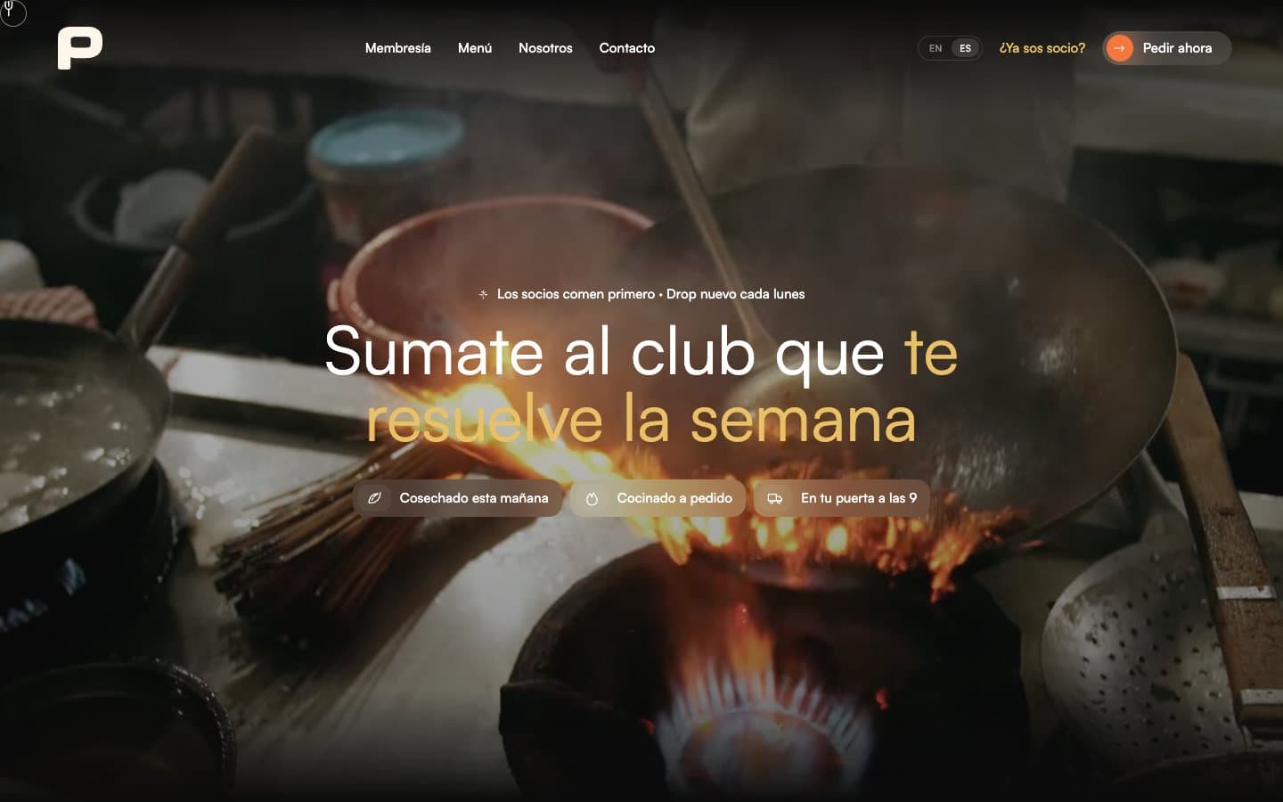 Web de Preppd